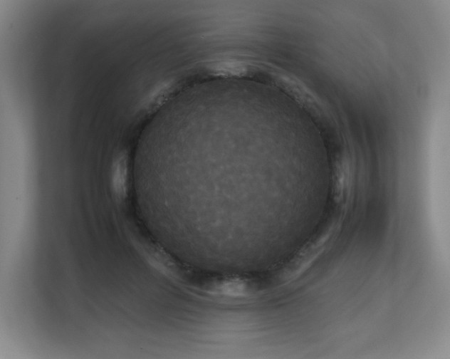X0000111250600200907021433