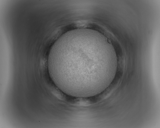 X0000111250601200907021433