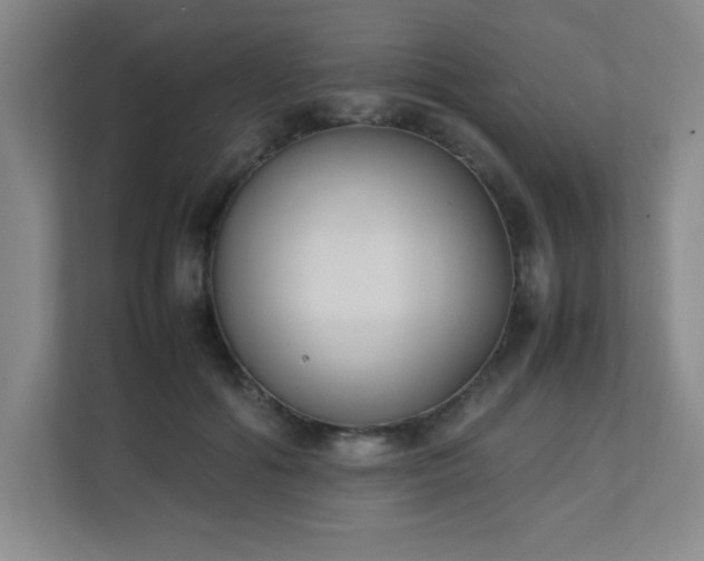 X0000111250602200907021433