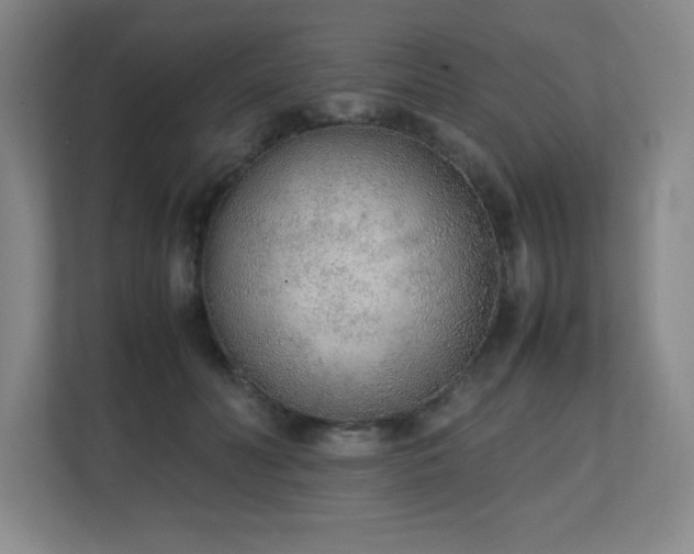 X0000111250606200907021432