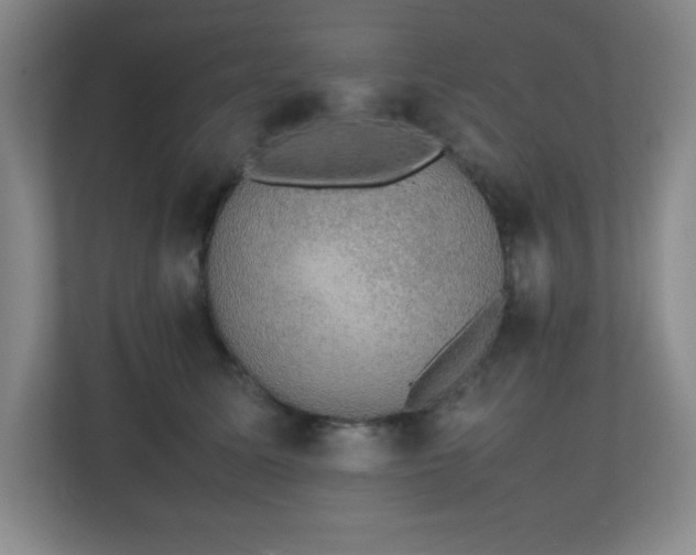X0000111250611200907021432