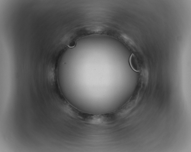 X0000111250612200907021432