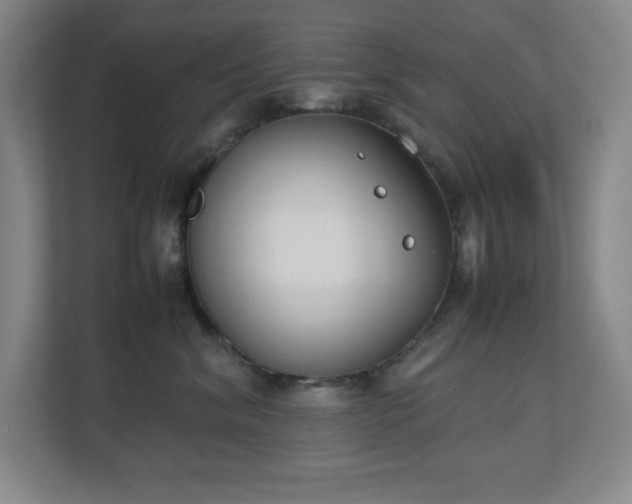 X0000111250620200907021432