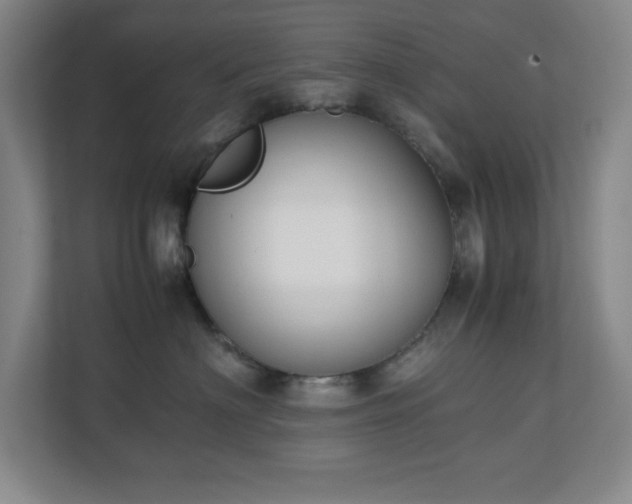 X0000111250622200907021432