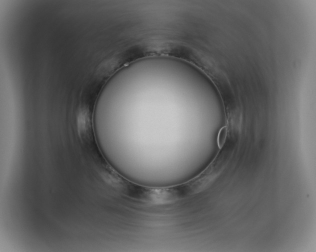 X0000111250623200907021432