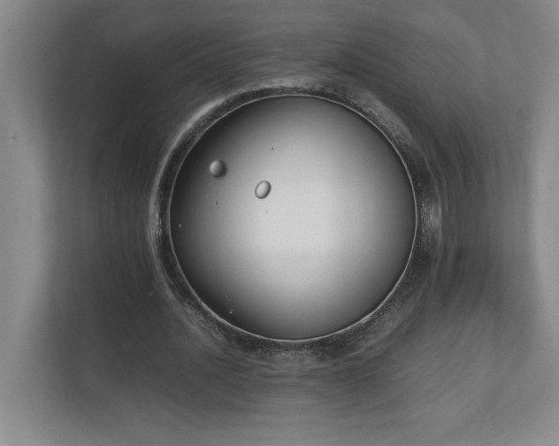 X0000111250628200907021432