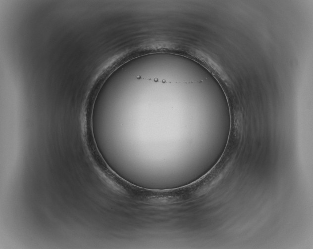 X0000111250629200907021432