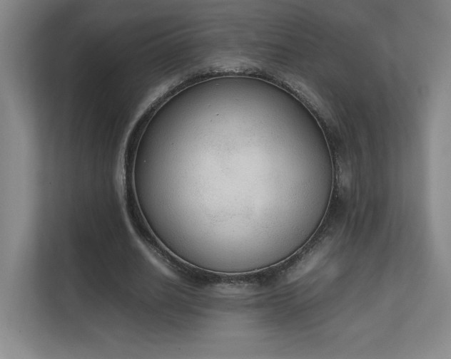 X0000111250630200907021432