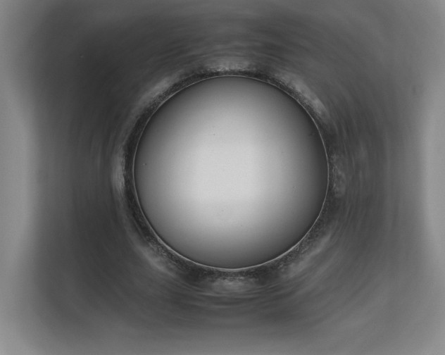 X0000111250631200907021432