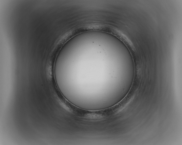 X0000111250633200907021432