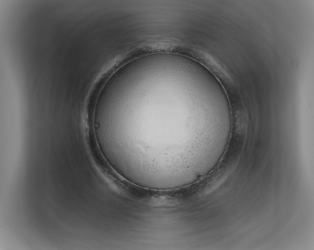 X0000111250634200907021432