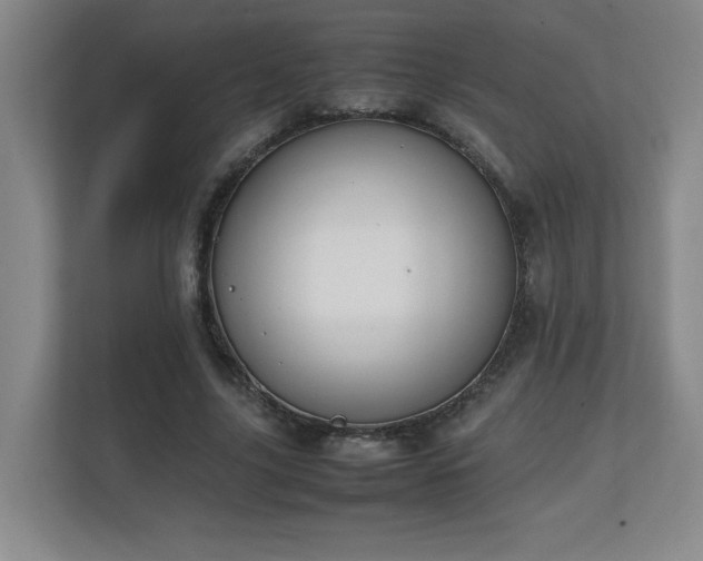 X0000111250635200907021432