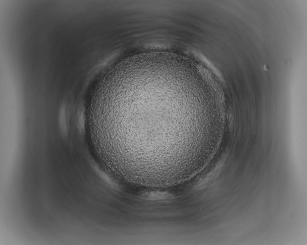 X0000111250637200907021432