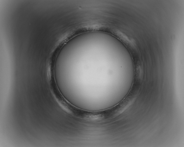 X0000111250638200907021432