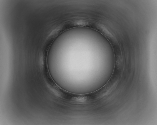X0000111250639200907021432