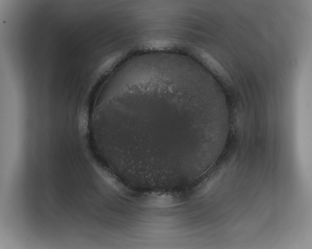 X0000111250640200907021432