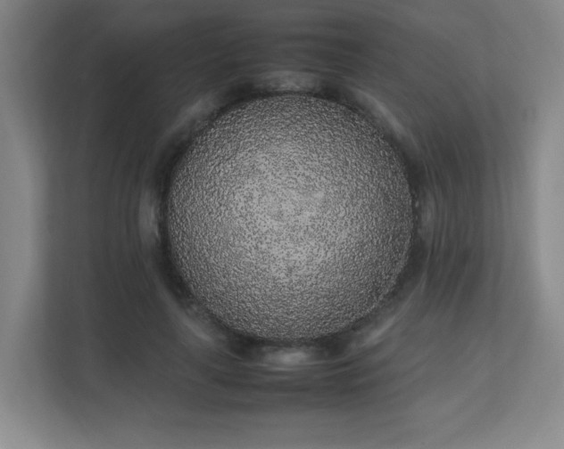 X0000111250643200907021432