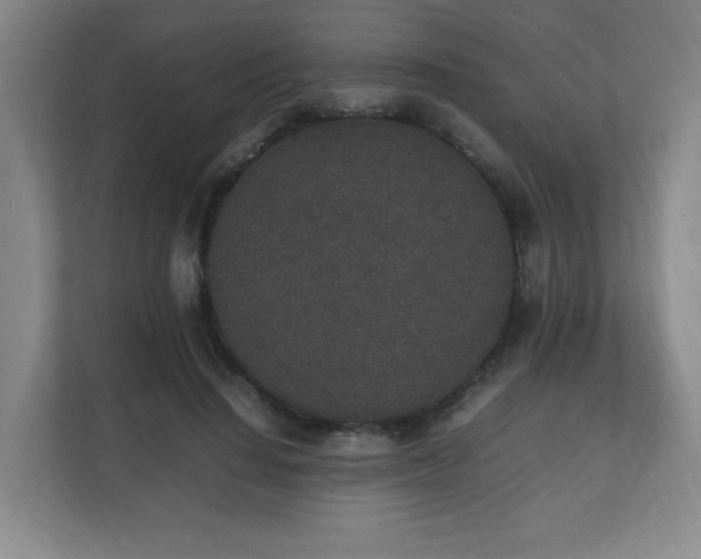 X0000111250644200907021432