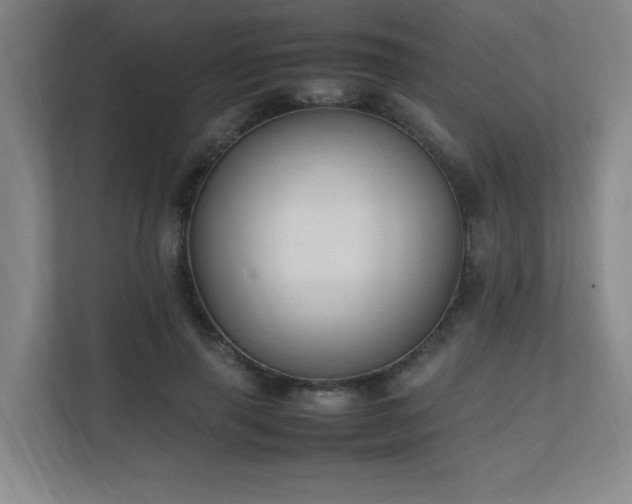 X0000111250645200907021432