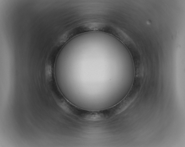 X0000111250646200907021432