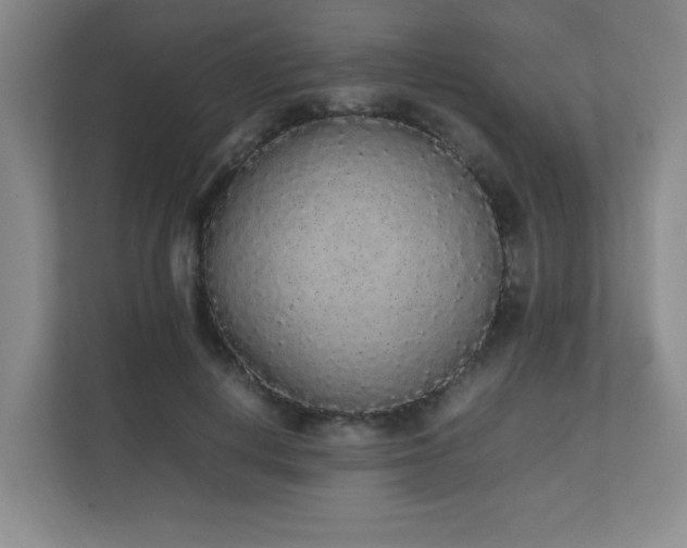 X0000111250648200907021432