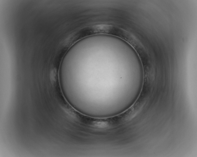 X0000111250649200907021432