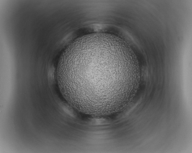 X0000111250650200907021432