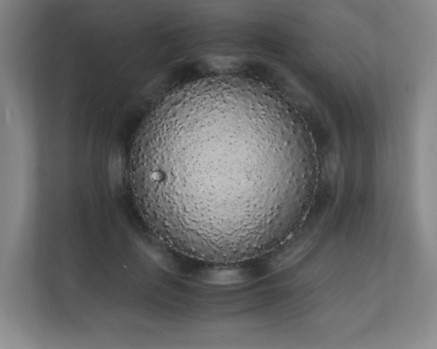 X0000111250651200907021432