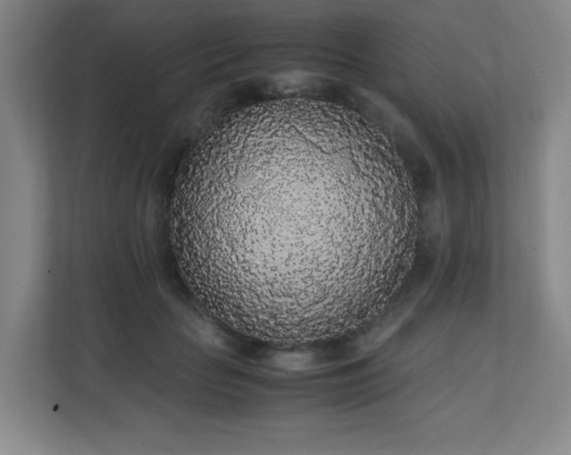 X0000111250653200907021432
