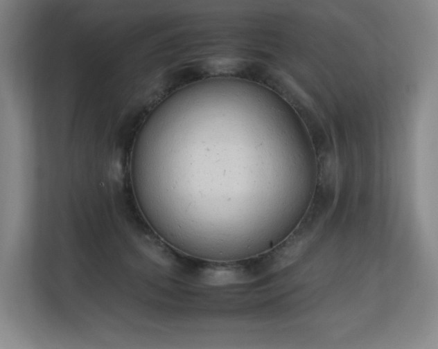 X0000111250655200907021432