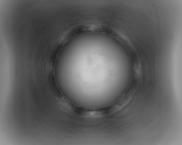 X0000111250657200907021432