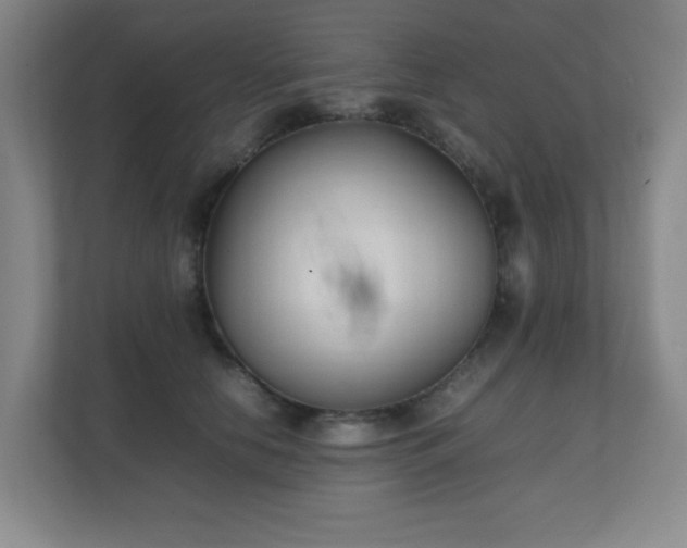 X0000111250658200907021432