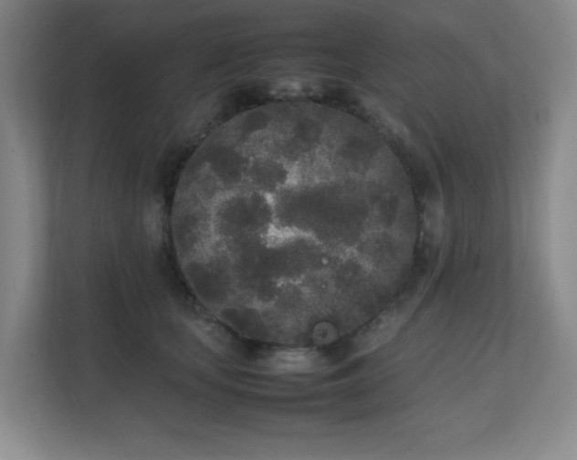X0000111250659200907021432