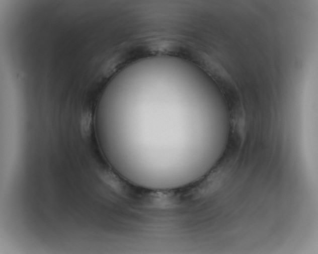 X0000111250660200907021432