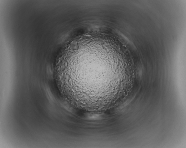 X0000111250661200907021432