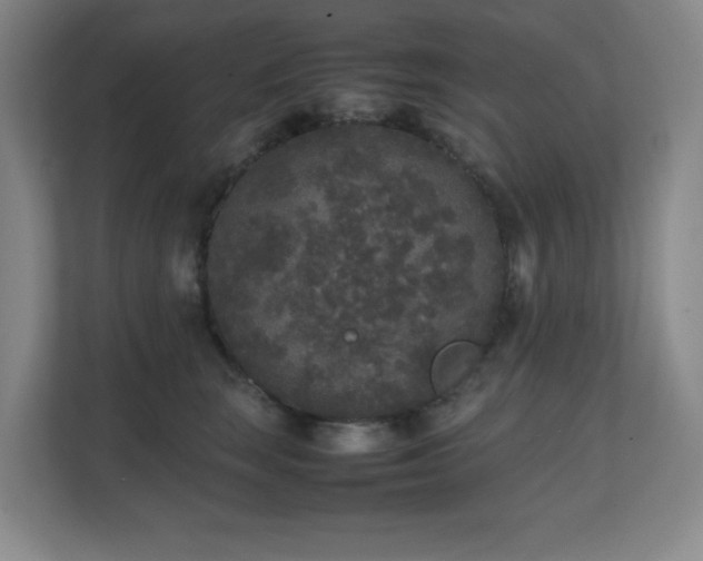 X0000111250663200907021432