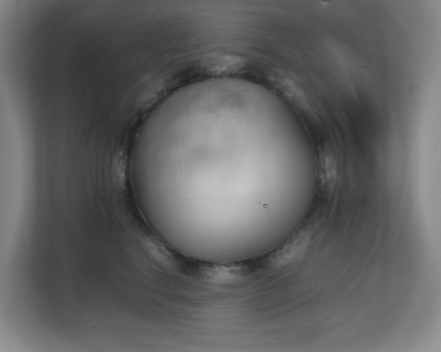 X0000111250664200907021432