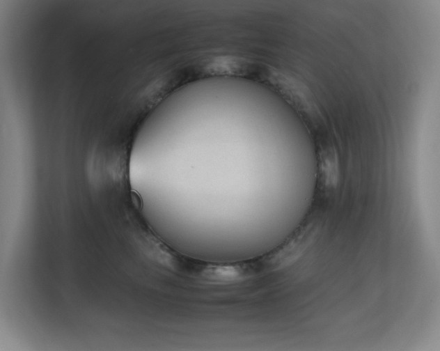 X0000111250665200907021432