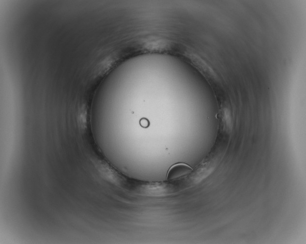 X0000111250668200907021432