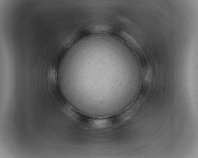 X0000111250669200907021432