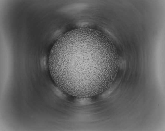 X0000111250670200907021432