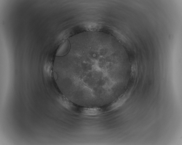 X0000111250671200907021432