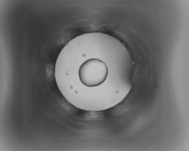 X0000111250672200907021432