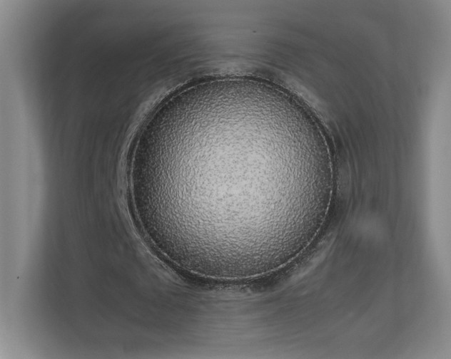 X0000111250673200907021432