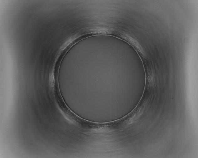 X0000111250674200907021432
