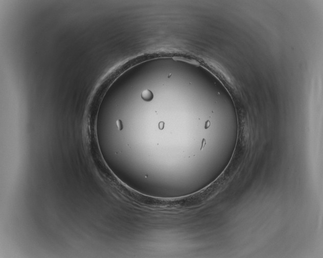X0000111250680200907021432