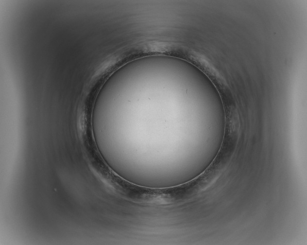 X0000111250683200907021431