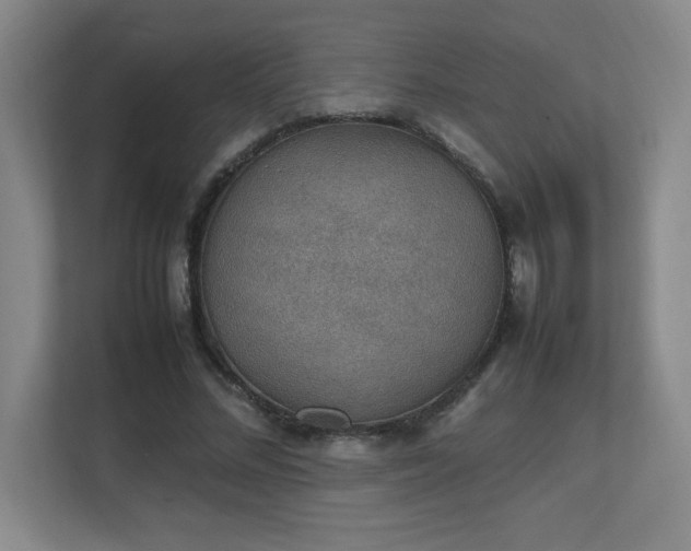X0000111250684200907021431