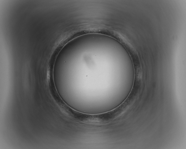 X0000111250685200907021431