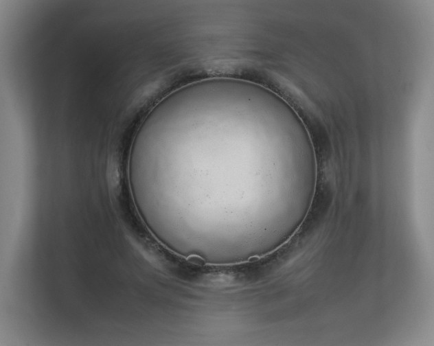 X0000111250687200907021431